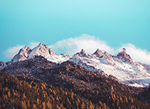 开云体育官网-加图索：纪念马拉多纳应该，但希望戴口罩